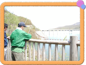 �t���[��