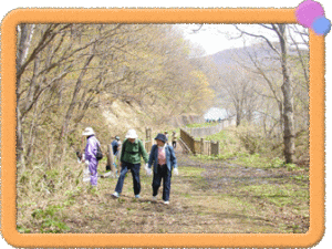 �t���[��