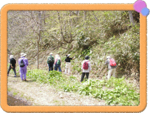 �t���[��