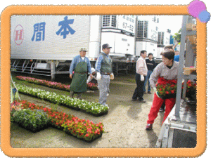 �t���[��