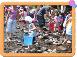 �t���[��