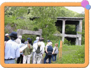 �t���[��